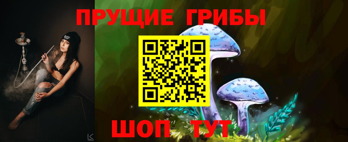 Черногорск  Псилоцибиновые грибы Psilocybine cubensis  Вход с VPN  Галлюциногенные грибы мухоморы 